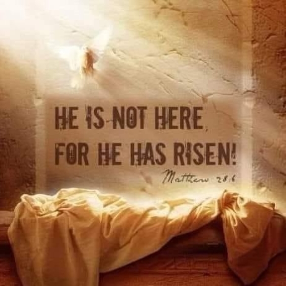 Meet your Posher, Trisha - Picture 1 of 1